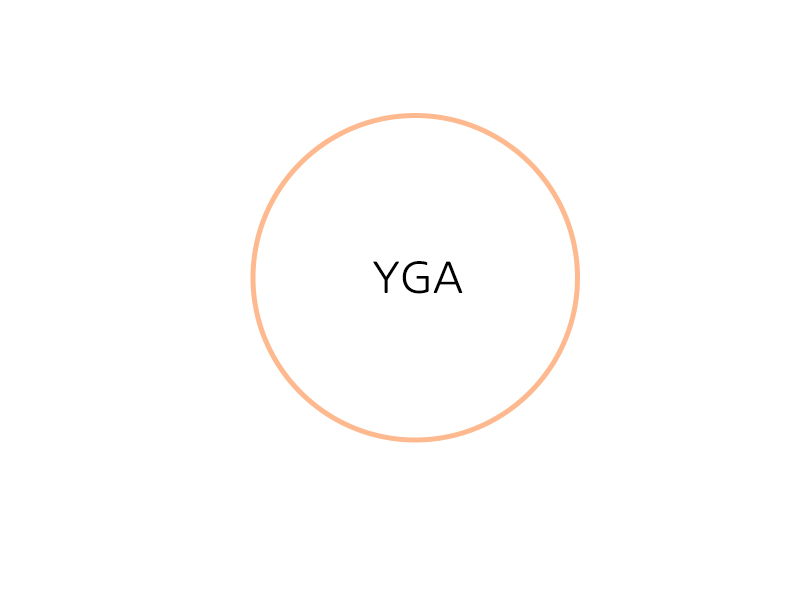 YGA.jpg